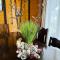 Chalet Adriana