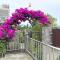 Dongshan Free Garden
