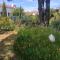 Les Fleurs De Lys, Villa Chic L'enclos Des Lys, Proche de la Mer, Linge Inclus