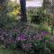 Les Fleurs De Lys, Villa Chic L'enclos Des Lys, Proche de la Mer, Linge Inclus