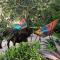 Les Fleurs De Lys, Villa Chic L'enclos Des Lys, Proche de la Mer, Linge Inclus