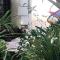 Les Fleurs De Lys, Villa Chic L'enclos Des Lys, Proche de la Mer, Linge Inclus