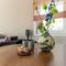 Luxury chalet near Ouddorp with garden