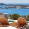 Syros Grace eco-Villa with Jacuzzi & Stuning Views - 阿诺锡罗斯