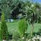 Fofis garden