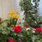 B&B ArdennesT - Bouillon