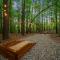 Hickory Bear - Cabin surrounded by pines, Sleeps 10, Hot Tub, Fire Pit, Arcade, Foosball Table & Deck Slide - Broken Bow