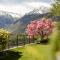 Schenna Chalet - Chalet Penthouse
