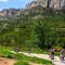 Pla del Castell II