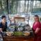 Pine Trees Homestay