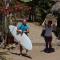 Playa Hermosa Eco Resort