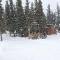 Alaskan Spruce Cabins - Healy