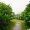 Doi Inthanon View Resort