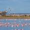 SOUTH-OF-FRANCE T2 neuf haut de gamme, climatisé, parking gratuit, 2eme ligne balcon 3