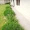 Rustic Haus Pivon