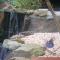 Weeroona Bed And Breakfast