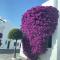 Homey Home Guadalvillas 91