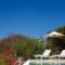 Serene villa Meganisi - Seaview & Exclusive Pool - 梅加尼西岛