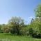Charming House in Decollatura with Jacuzzi - Decollatura