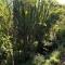 Treehouse River Lodge - Elangeni
