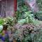 Matagalpa Tours Guest House
