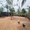 Aiden Homestay