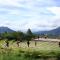 Villa Rumah Bata Agrowisata Kopeng Gunungsari - Kopeng
