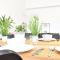 Big Wilten Apartment with free parking- Central and Peaceful