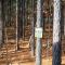 Large Luxury 2BR Cabin w Hot Tub Double Trouble was designed for fun comfort and memories minutes from buzzling Hochatown and beautiful Beaver Bend State Park - Broken Bow