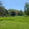 Log Cabin in the Field