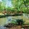 Jungle House