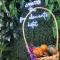 The Five Elements Hotel and SPA