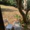 Treehouse River Lodge - Elangeni