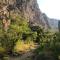 Butterfly Valley Beach Glamping - 费特希耶
