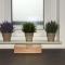 InHomeVision Neubau, Design, Balkon, Barrierefrei, WLAN - ماركغرونينغن