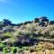 NAVAQUESERA MIRADOR DE GREDOS - Ávila