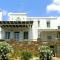 Cycladic Blue Andros Villa