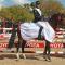 Lipizzaner Lodge - Kyalami