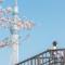 *201 Oshiage sta 3mins! Wi-Fi & Elevator 4pax
