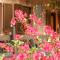 B&B il Cortile Malpensa