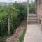 Norik guest house
