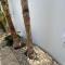 Villa Diana - 200 meters from Kapparis, Fireman's Beach
