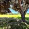 Vilamoura Amazing Golf Villa With Pool by Homing