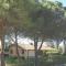 Badiaccia Village Camping