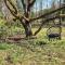 8 person holiday home in Hestra-By Traum