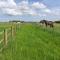 Braemar Equestrian, East Riding of Yorkshire - Burton Pidsea