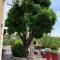 Studio Le petit marronnier 2-4 personnes