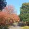 Mount Waverley Townhouses
