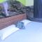 Colva Beach Samaira Guest House