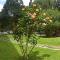 Aurelia Antica Terrace Apt free pool and parking - Rzym